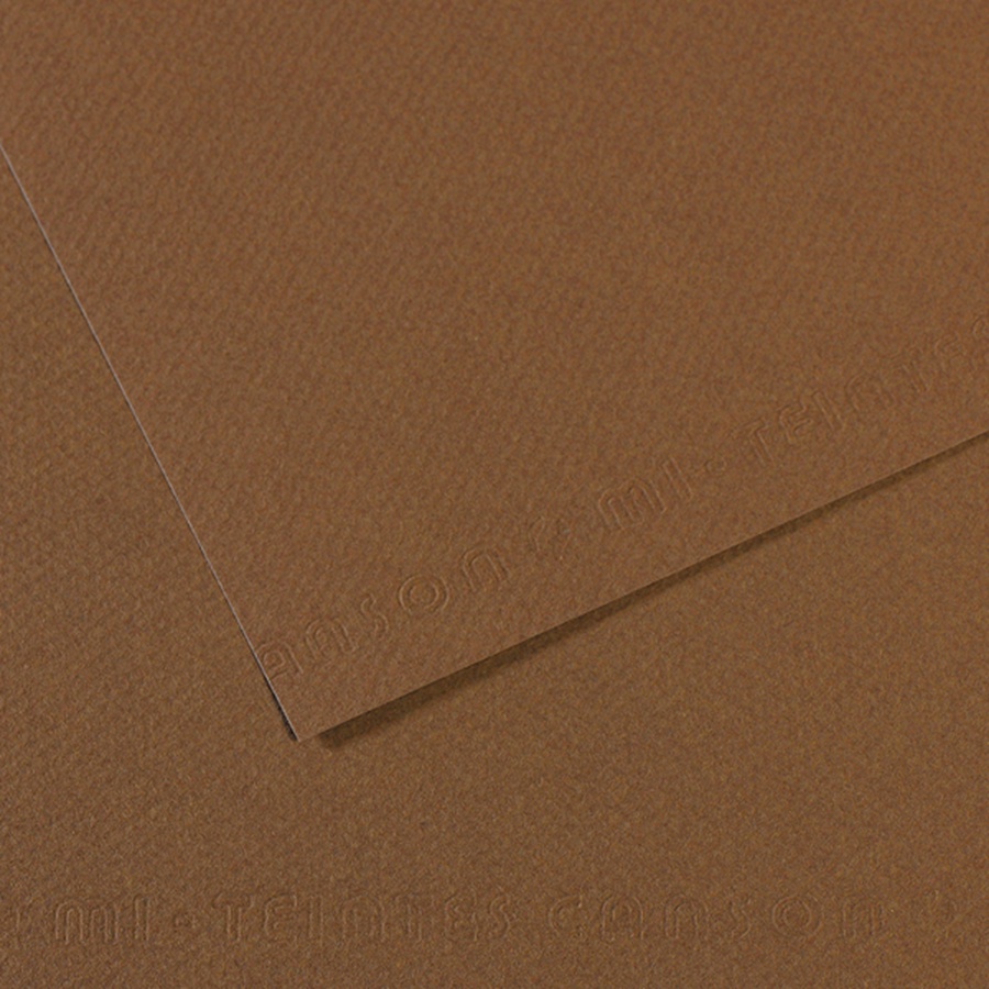 картинка Бумага для пастели canson mi-teintes, 160 г/м2, лист а4, № 133 сепия