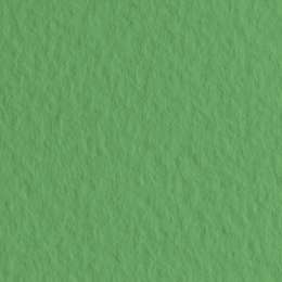 картинка Бумага для пастели fabriano tiziano, 160 г/м2, лист а4, зелёный луг № 12