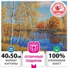 изображение Картина по номерам 40х50 см,"осень в подмосковье", на подрамнике