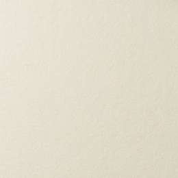 фотография Бумага для пастели lana, 160 г/м2, лист а4, слоновая кость