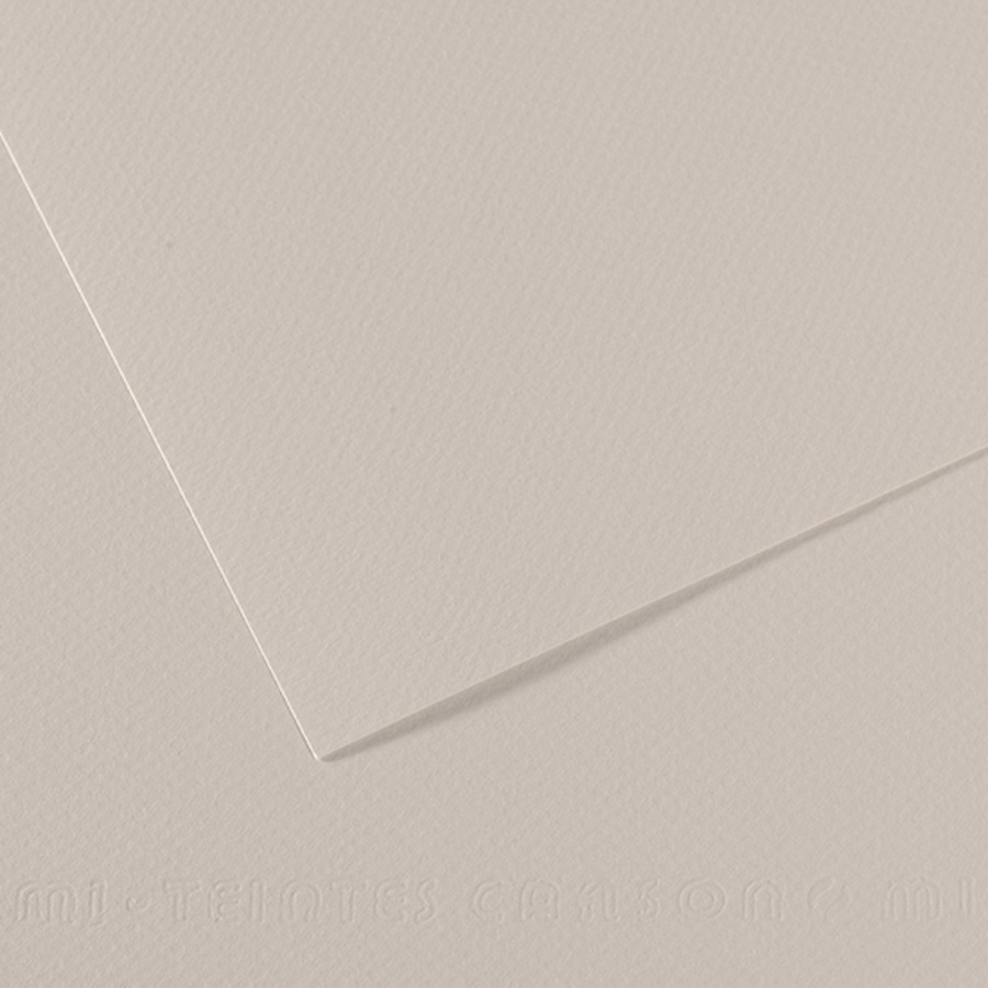 картинка Бумага для пастели canson mi-teintes, 160 г/м2, лист 75х110 см, № 120 жемчужно-серый