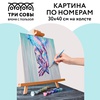 картинка Картина по номерам на холсте "единение", 30*40 см