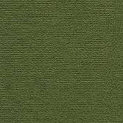 Бумага для пастели Палаццо Гознак, 160 г/м2, лист А4, тёмные джунгли