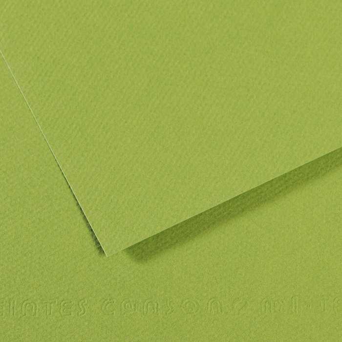 Бумага для пастели Canson Mi-Teintes, 160 г/м2, лист 75х110 см, № 475 зелёное яблоко