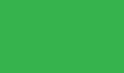 Глина полимерная Fimo Soft 56 г, тропический зелёный 53