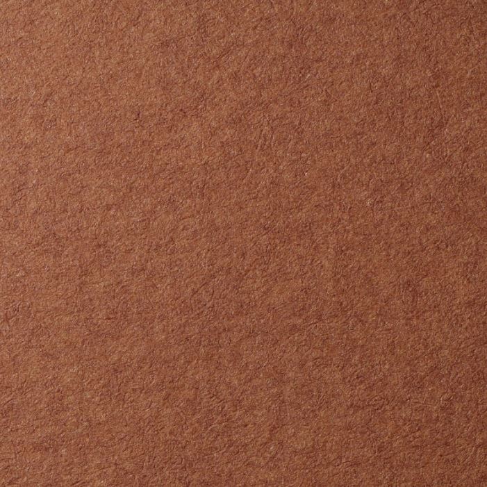 Бумага для пастели Lana, 160 г/м2, лист 70х100 см, Тёмно-коричневый